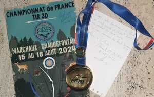 Championnat de France 3D